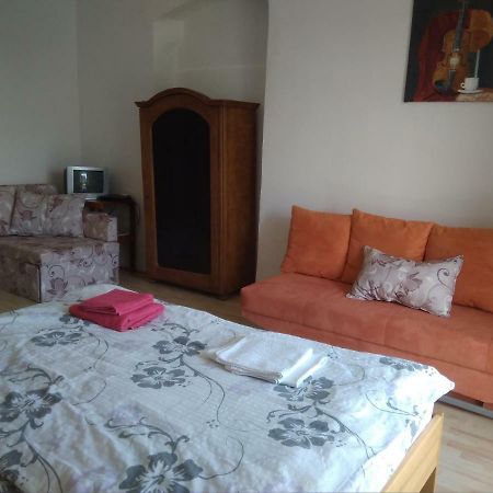 Dvur V Borovne Apartamento Borovná Exterior foto
