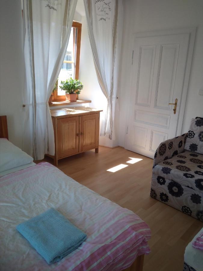 Dvur V Borovne Apartamento Borovná Exterior foto