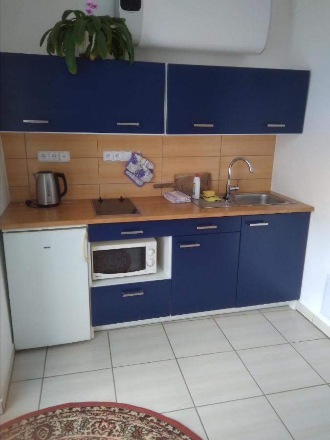 Dvur V Borovne Apartamento Borovná Exterior foto